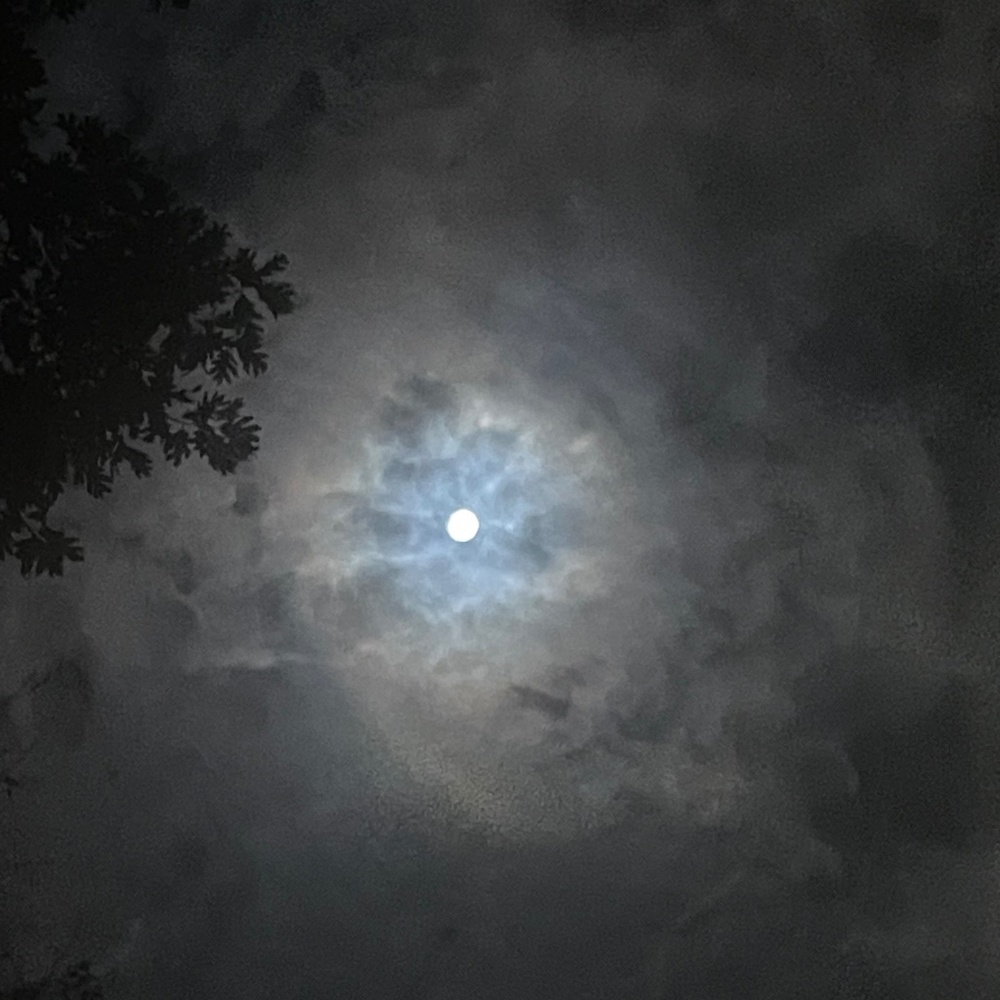 Meet your Posher, Mylimylie